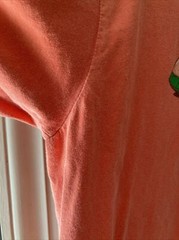 “GREYSTONE CARNIVAL 2022” MENS Orange Comfort Colors SS Cotton T Shirt SZ LG
