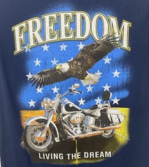 Way to Celebrate Patriotic Men’s “Freedom Living the Dream” Tee Shirt XS 30-32