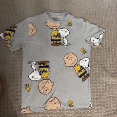 MENS PEANUTS SNOOPY CHARLIE BROWN WOODSTOCK GRAY T-SHIRT SIZE M