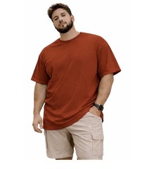 NWT Greystone Big & Tall Men’s Rust 8XL T-Shirt