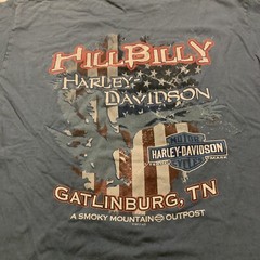 Hillbilly Harley Davison T Shirt Missing Tag M-L Gatlinburg TN 2012 20” X 28”