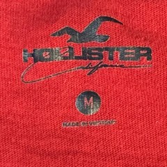 Hollister California 1990 Los Angeles Red Crew Neck Long Sleeve T-Shirt Size M