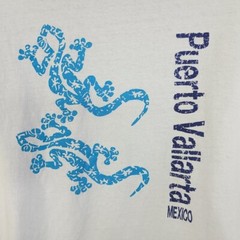 Vintage Puerto Vallarta T Shirt Mens Size 2XL Y2K Mexico Gecko Lizard Animal