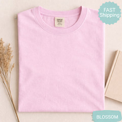 Blueberry 90s Vintage Style Comfort Colors T-Shirt