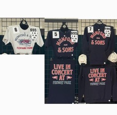 Mumford Sons June 22 2026 Fenway Park Boston Massachusetts Tour T-Shirt Reprint