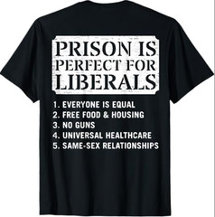 (ON Back) Prison is Perfect for Liberals Anti Liberal Quote T-Shirt
