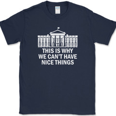 Why We Can’t Have Nice Things T-Shirt Funny Anti Government Political Tee