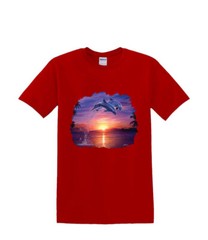 T-Shirt S to 2XL 3XL – DOLPHIN LEAP of faith water waves resort fun adult