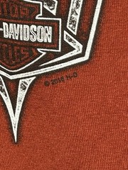 2013 Harley Davidson Grand Teton Idaho Falls Tee Cyan Biker Graphic Shirt Size L