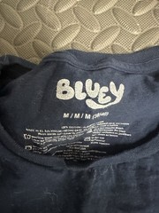 Lot Of 2 Bluey Bingo Unisex Graphic T-Shirts Size M Medium 1 New With Tags