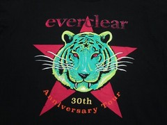 Everclear Shirt Mens medium Black 30th anniversary 90s y2k band Rock Punk Skate