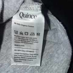 Quince XL Heather Grey Men’s Slub Cotton V-Neck T-Shirt