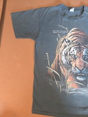 Vintage Tiger Animal Nature Art Big Cat Country St Louis Zoo Single Stitch USA M