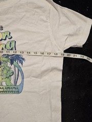 Disney The Lion King Hakuna Matata T Shirt XL Tultex Simba Pumbaa Timon Retro…