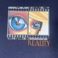 DAVID BOWIE REALITY TOUR T SHIRT MENS L LARGE ANVIL CONCERT VINTAGE RARE Y2K