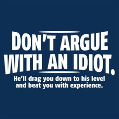 Don’t Argue With An Idiot Sarcastic Humor Graphic Novelty Funny T Shirt