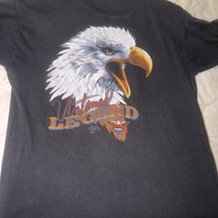 Vintage 1986 Harley Davidson 3D Emblem Eagle Untamed Legend Rare Melbourne Fl