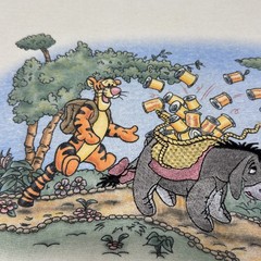 VTG Pooh’s Outdoor Adventure Embroidered Applique Single Stitch USA RARE GRAIL