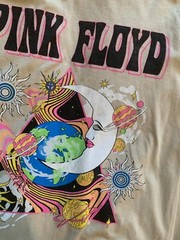 NWOT Men’s Medium Pink Floyd Graphic T-Shirt New Retro Look Shirt M Beige Tan MD