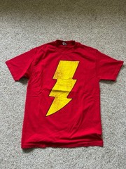 The Flash Shirt Mens Large Red DC Comics Originals Superhero Graphic Tee 2010