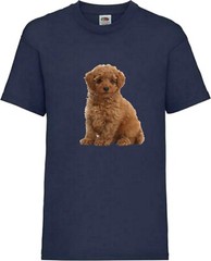 Toy Poodle Brown Dog Pet Family Novelty T Shirt Various Colours And Sizes