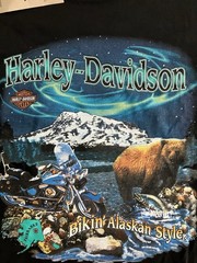 Vintage Harley Davison Fairbanks Alaska Northern Most Out Post 90s Polar Bear