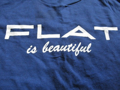 Vtg 90s Sportswear T-Shirt M Blue Single Stitch Flat is Beautiful Graphic USA Ma