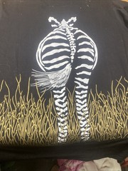 Tinga Tinga 100% Cotton Large Long T Shirt or Pajama Top Front & Back of Zebra