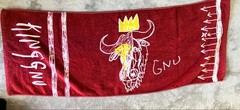 Kinggnu/Initial Tour Goods/5-Piece Set/Summary/T-Shirt/Long T-Shirt/Cap/Towel/So