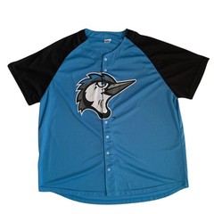 Success Brand MiLB Adult Men’s Size XL Fayetteville Woodpeckers #22 Mesh Jersey