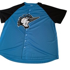 Success Brand MiLB Adult Men’s Size XL Fayetteville Woodpeckers #22 Mesh Jersey