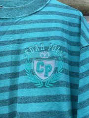 Vintage Cedar Point T Shirt Striped XL Single Stitch 90s Sherrys Best Used