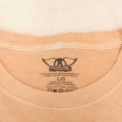Aerosmith Band Casual Crew Neck Graphic T-Shirt Adult Mens Size Large L Tan