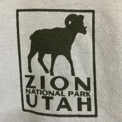 Image One C1717 Men’s ZION NATIONAL PARK UTAH Cotton T-Shirt Blue S Small