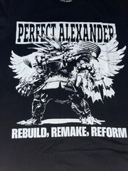 Final Fantasy XIV Online T Shirt Black Size XL’Perfect Alexander Square Enix￼￼￼