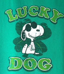 VTG Y2K Peanuts Snoopy Lucky Dog Clover Irish Short Sleeve Tee Shirt Adult 2XL