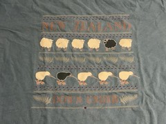 Vintage 90s New Zealand Sheep Kiwi Graphic Tee Cottagecore NZ Made M