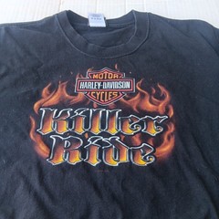Vintage Y2K Harley Davidson Fairbanks Alaska Graphic T-Shirt Hanes Beefy L 2003