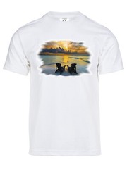Gravity Trading Mens Beachside Solar Magic Changing Short-Sleeve T-Shirt