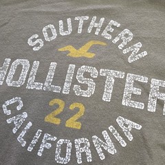 Hollister T Shirt Mens Sz L Vtg Y2K Preppy Surfer Skater Varsity Spellout Tee