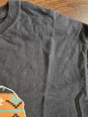 Brisco Apparel California Republic Medium Shirt Black Mens T-shirt Tee