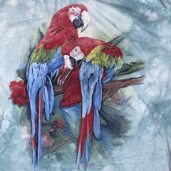 The Mountain Tie Dye Parrot T-Shirt Large Blue Birds Art Colorful
