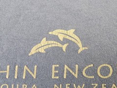 VINTAGE Dolphin Encounter Shirt Mens Medium Kaikoura New Zealand NZ Adult A47