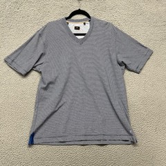 Left Coast Tee Shirt Mens L Blue Striped V Neck Cotton Peru Preppy Classic