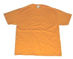 Alstyle Apparel & Activewear AAA Men’s Classic Solid Plain T-Shirt Pack Of 1 pc