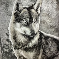 Wolf Pack T-Shirt Adult Small Gray DOM Midnight Retro Nature Tee 100% Cotton