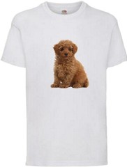 Toy Poodle Brown Dog Pet Family Novelty T Shirt Various Colours And Sizes