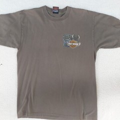 Harley Davidson I Rode The Dragon T Shirt Size Large Gray Smokey Mountain TN 07