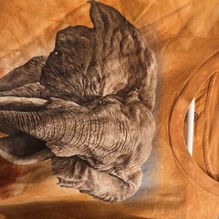 The Mountain Elephant Print Golden Brown Tie-Dye Cotton Crew Tee Adult 3XL New