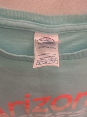 Arizona AZ Graphic T-Shirt Adult Large Aqua Blue Delta Pro Weight Cotton